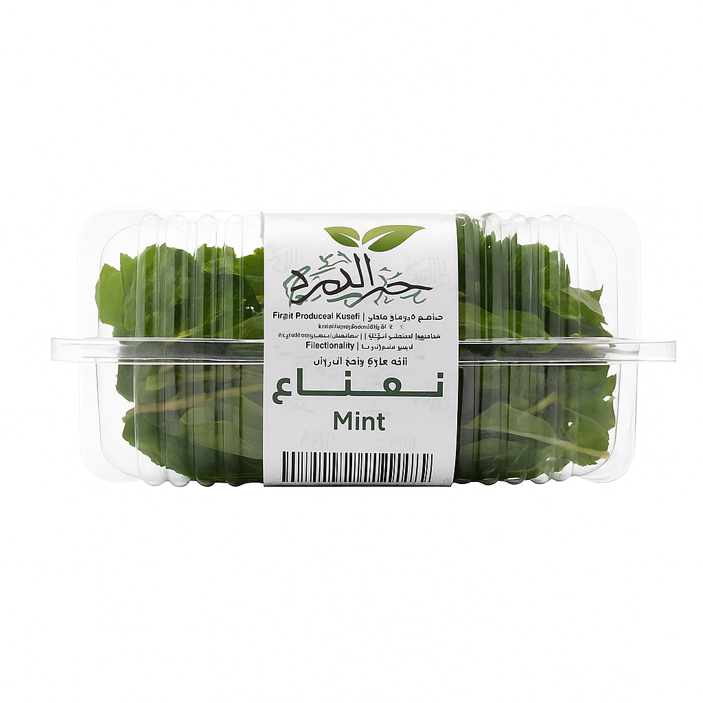 نعناع علبة طازج