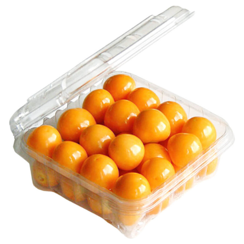 توت الكرز الأرضي الفيزاليس الذهبي طازج ومغلف