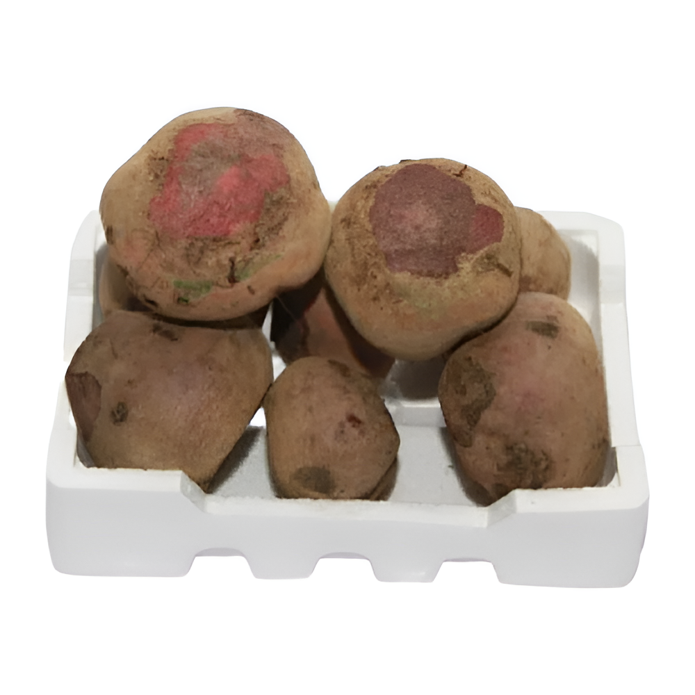 شمندر فلين وسط