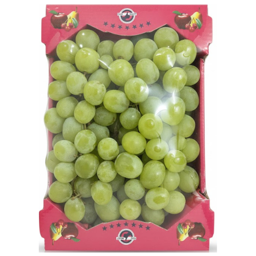 عنب كشف مستورد