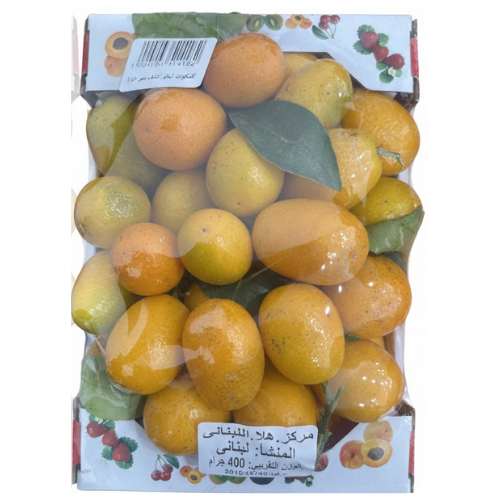 كمكوات لبناني كشف بيبي طيارة