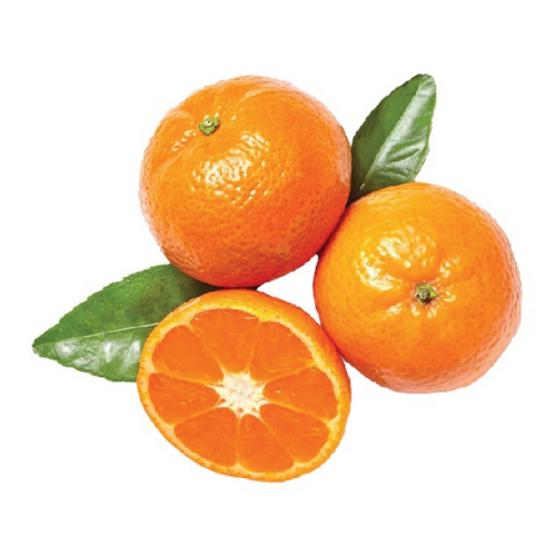 كلمنتينا مصري 1 كجم (تقريبا)